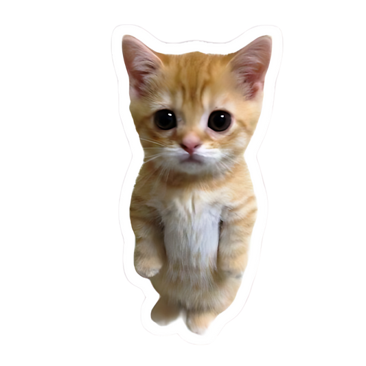 Meow Sticker