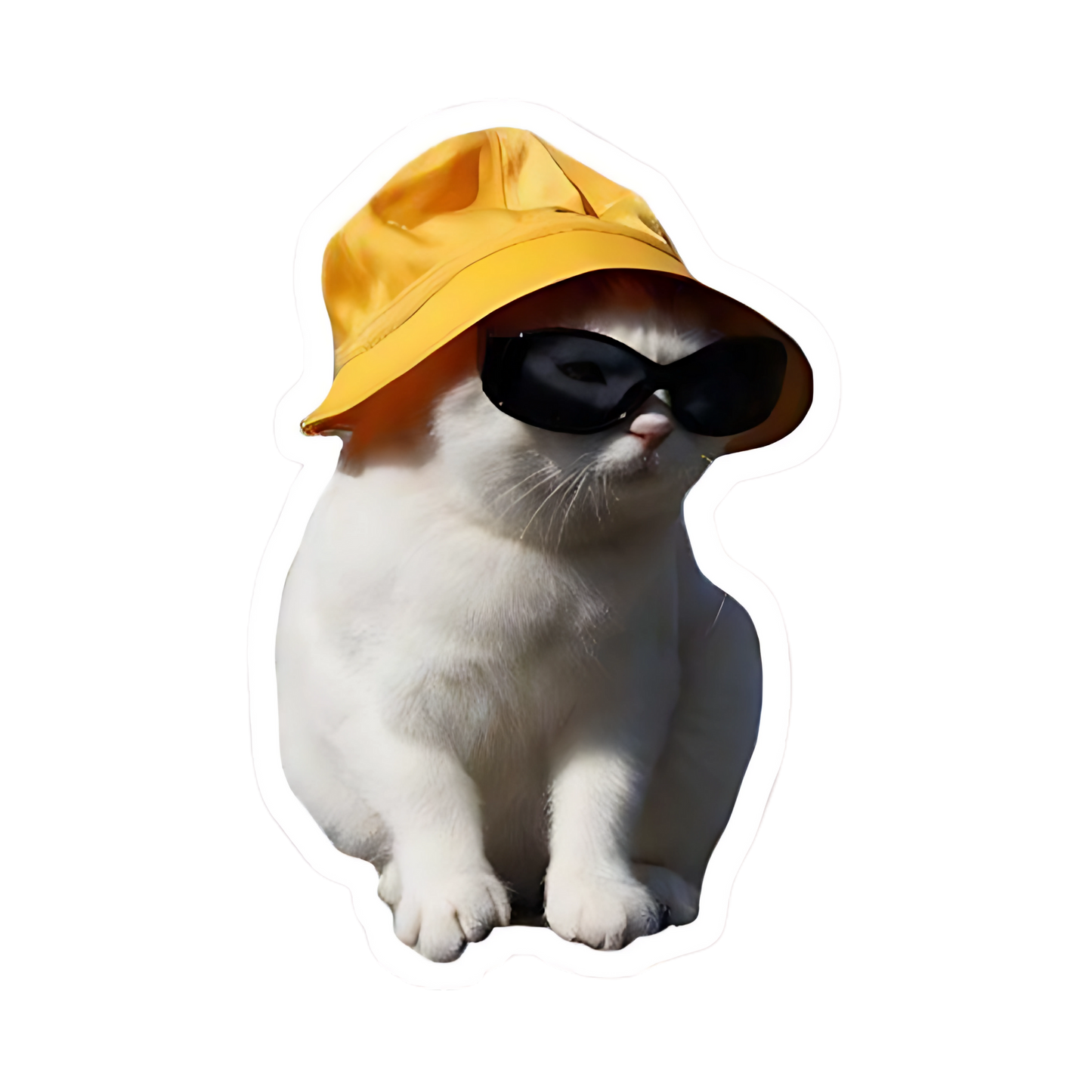Cat Sticker