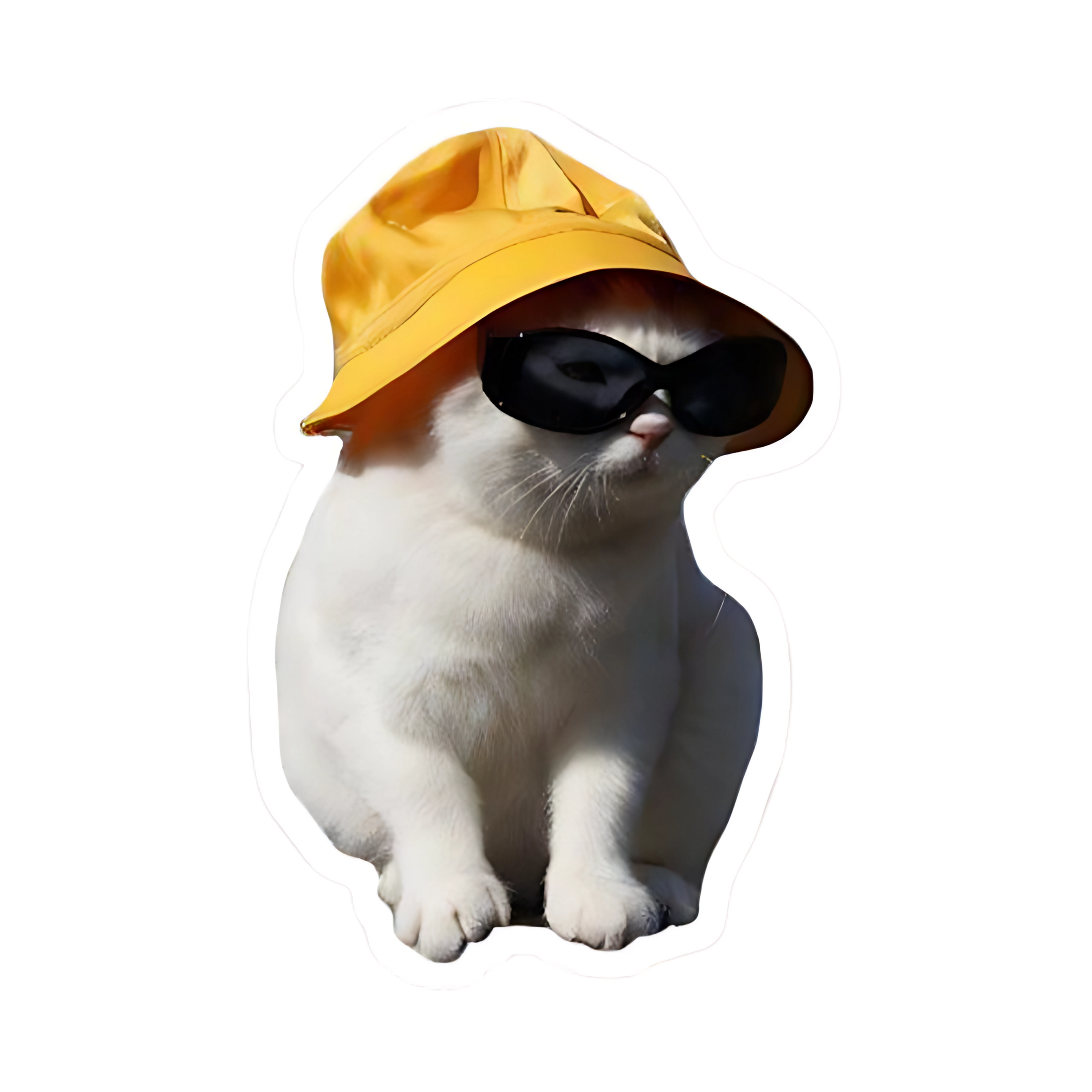 Cat Sticker