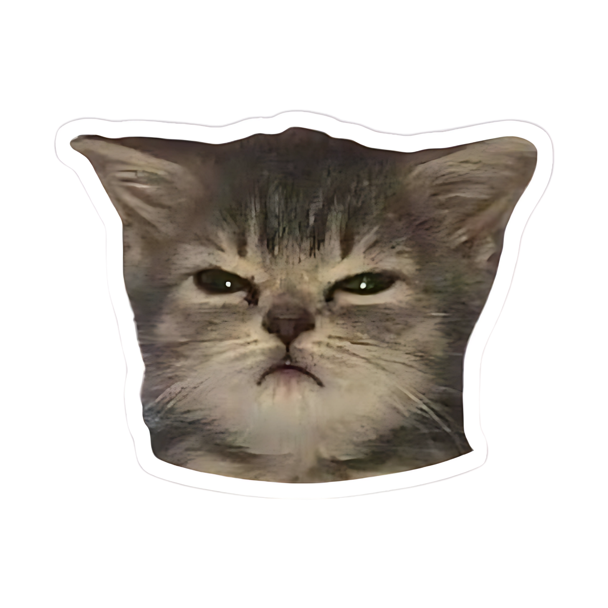 Bad Mood Kitty Sticker