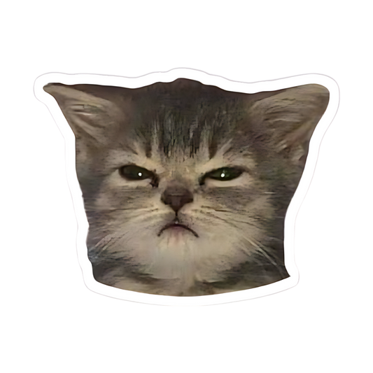 Bad Mood Kitty Sticker