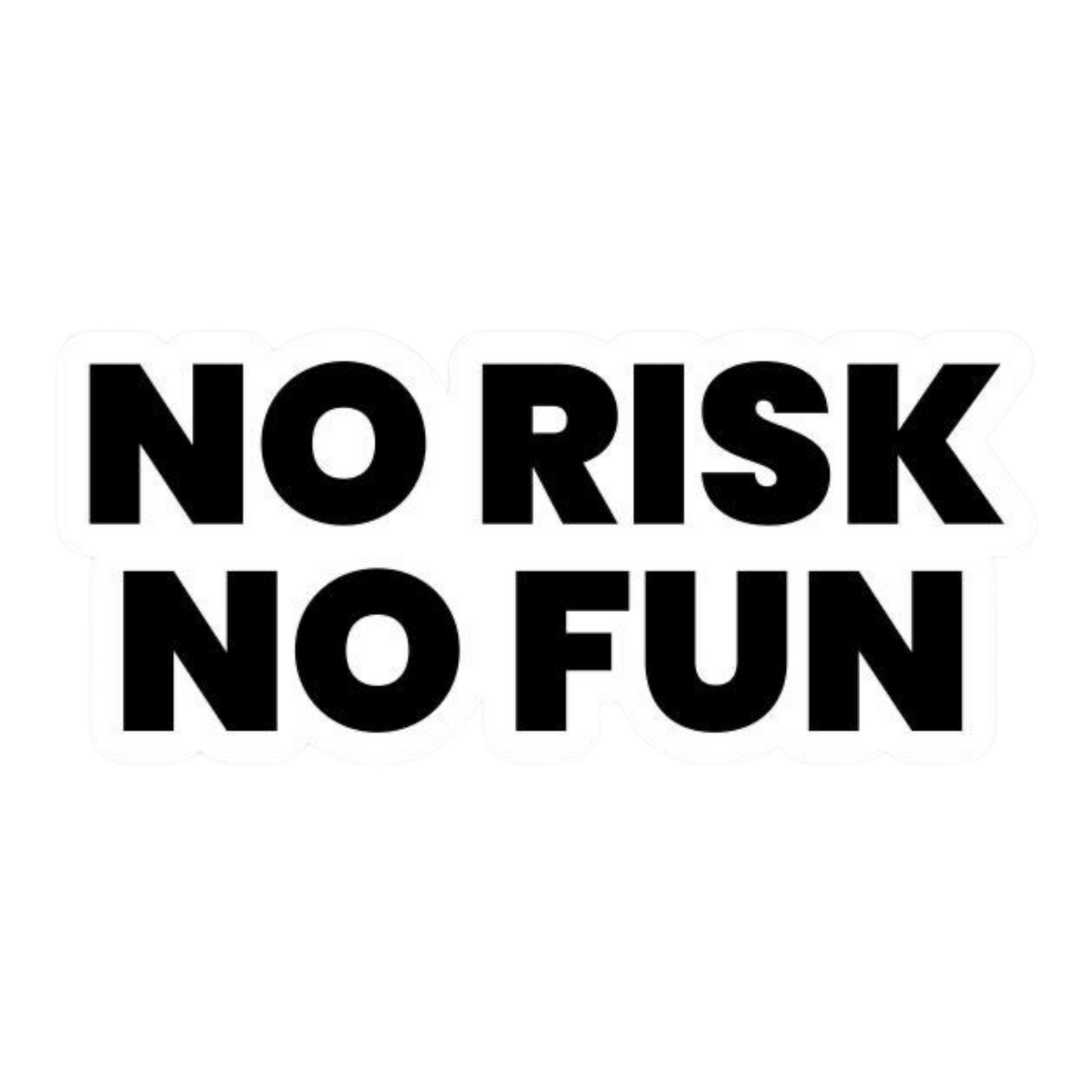 No Risk No Fun Sticker