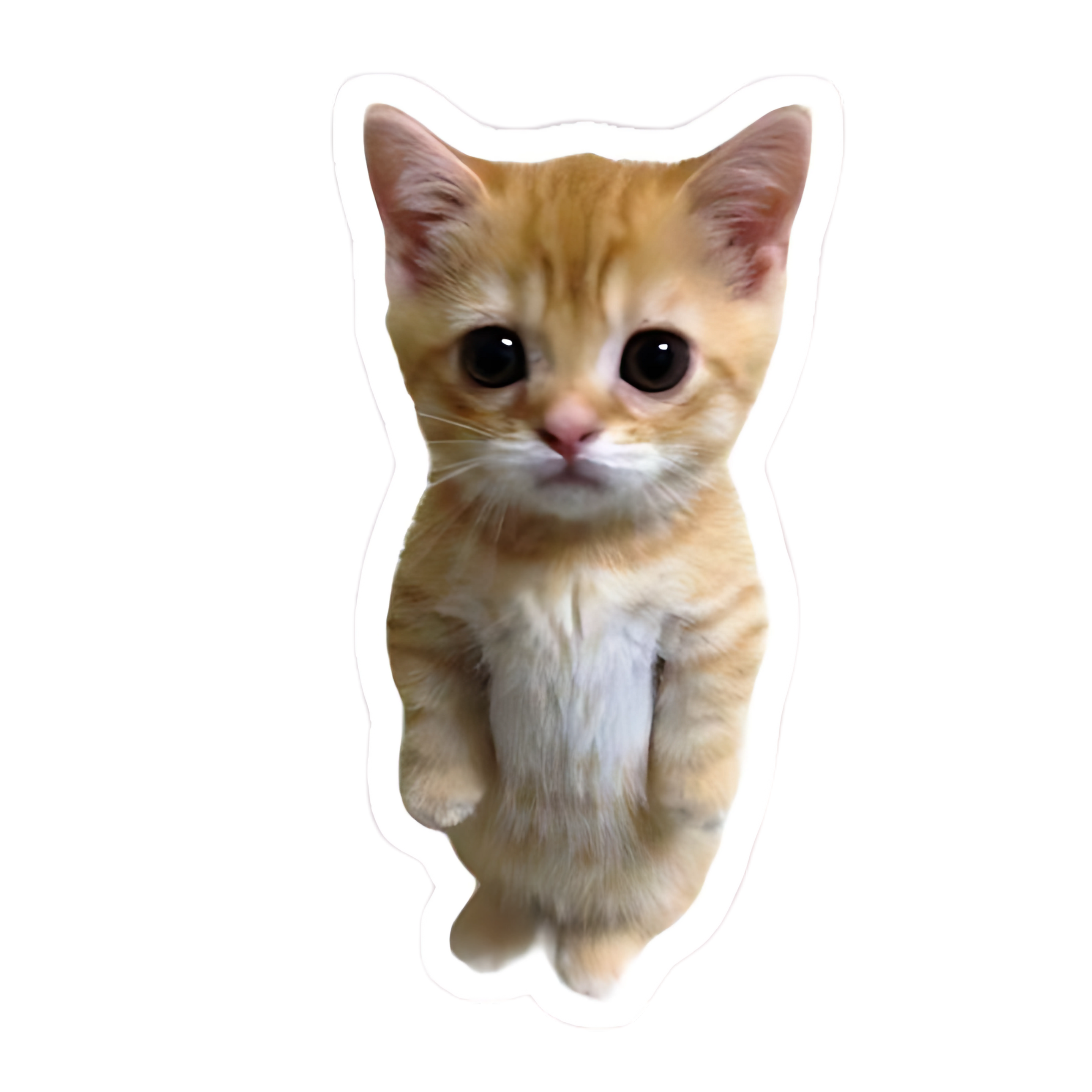 Meow Sticker
